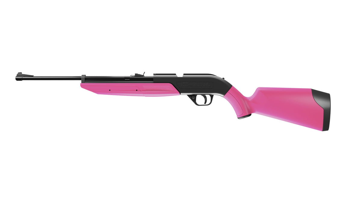 Crosman 760P Pump Master .177-Caliber Pellet/BB Air Rifle