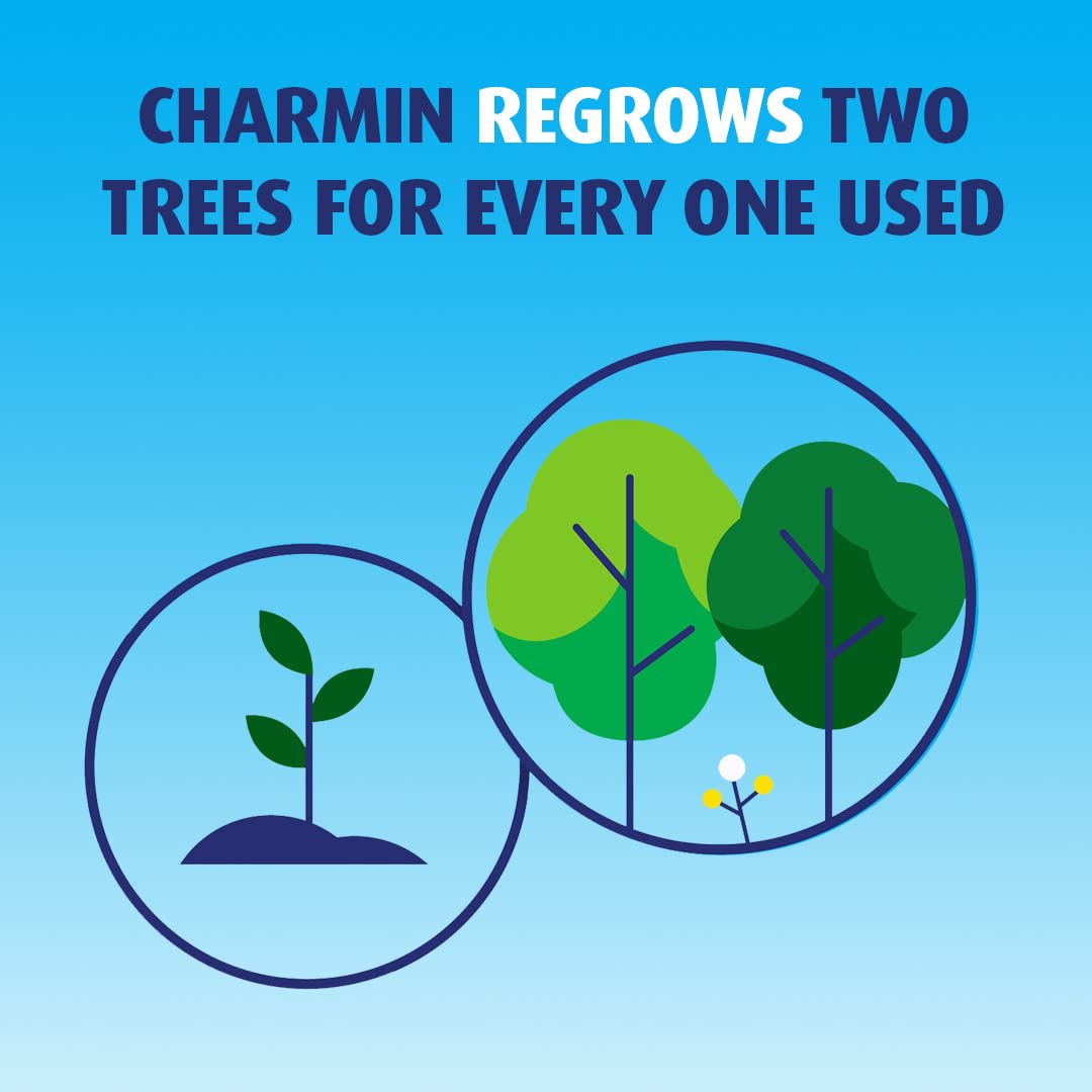 Charmin Ultra Soft Toilet Paper 12 Super Mega Rolls, 366 Sheets Per Roll