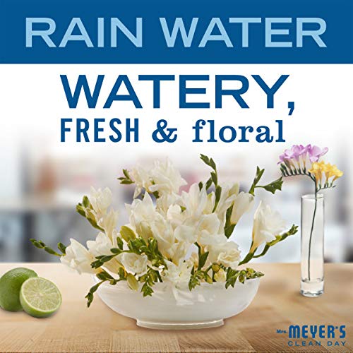 MRS. MEYER'S CLEAN DAY Hand Soap, Made with Essential Oils, Biodegradable Formula, Rain Water, 12.5 fl. oz - Pack of 6