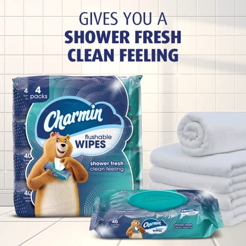 Charmin Flushable Wipes, 40 Flushable Wipes Per Pack