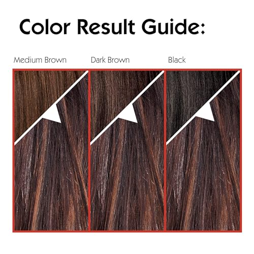 L'Oreal Paris Couleur Experte 2-Step Home Hair Color and Highlights Kit, French Ã‰clair