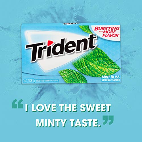 Trident Mint Bliss Sugar-Free Chewing Gum, 12 Packs of 14 Pieces (168 Total Pieces)