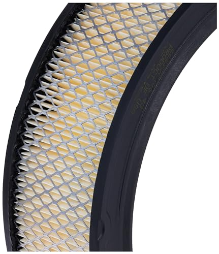 ACDelco GM Original Equipment A348C Air Filter
