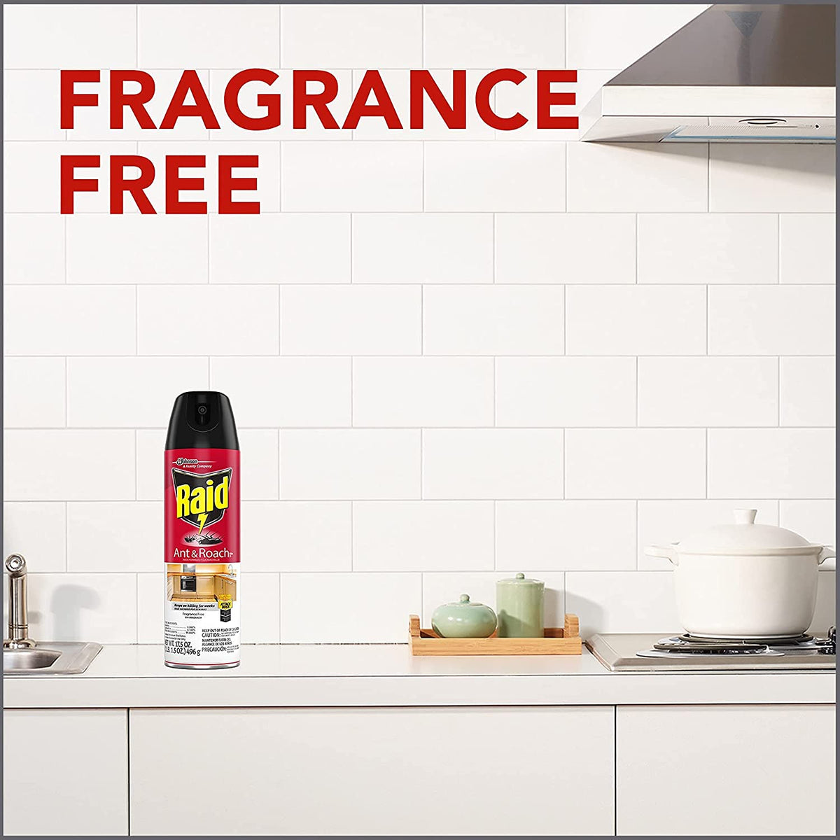 Raid Ant & Roach Spray Outdoor Fresh 17.50 oz (Pack of 3)