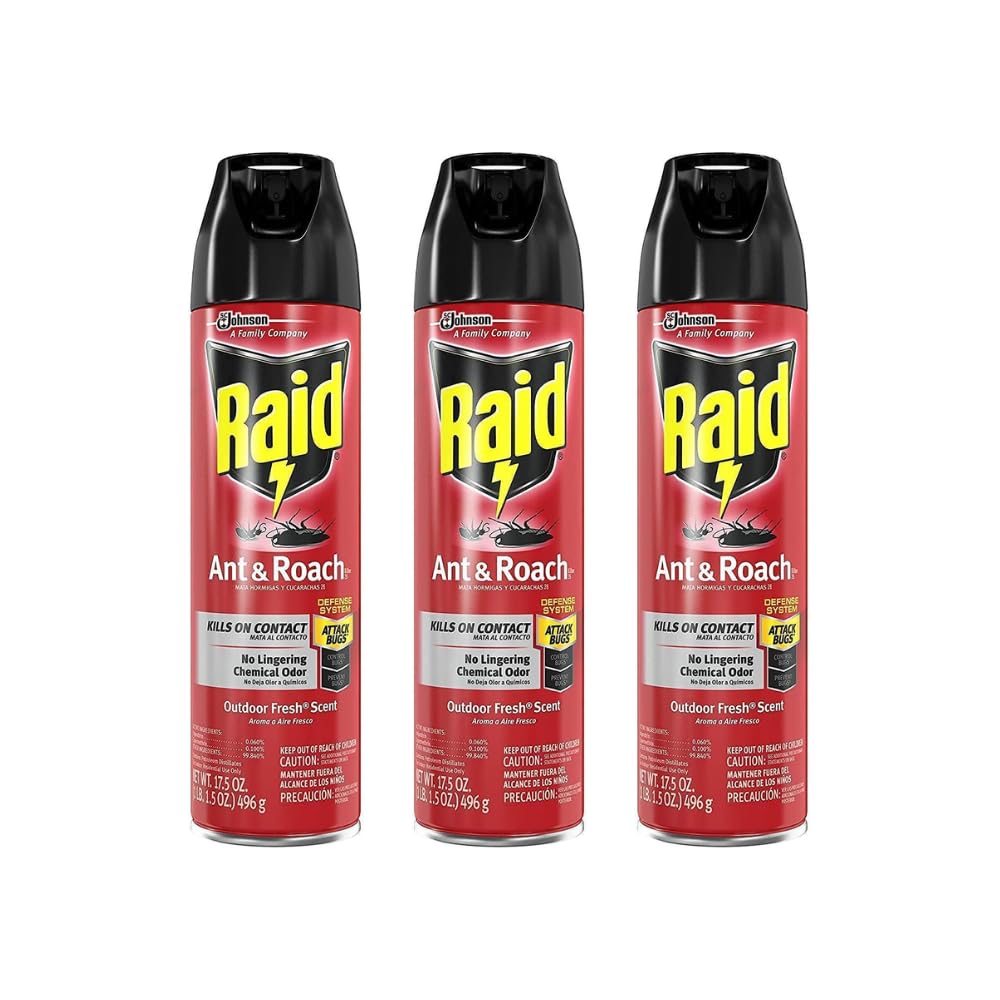 Raid Ant & Roach Spray Outdoor Fresh 17.50 oz (Pack of 3)