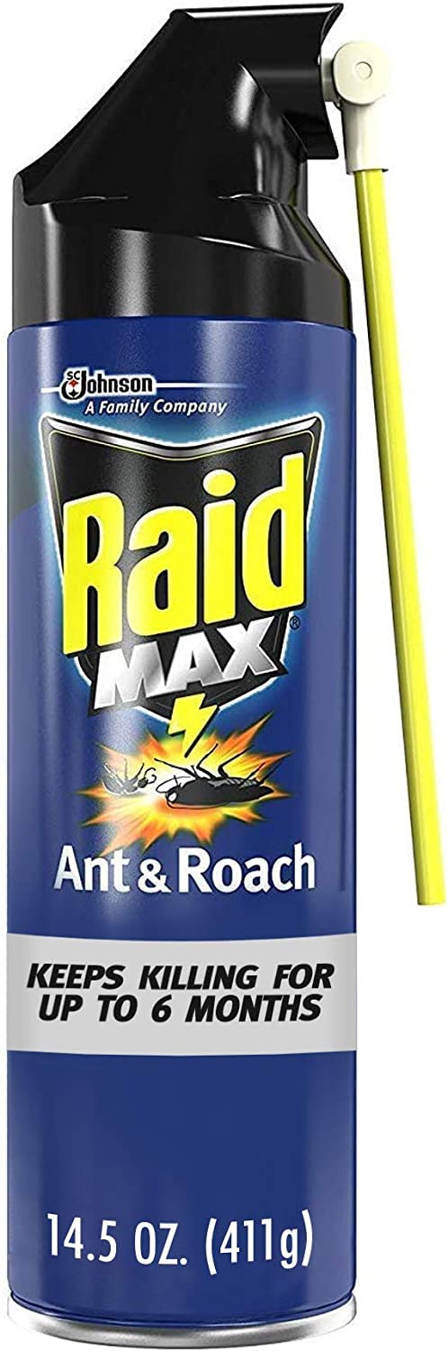 Raid Max Ant and Roach Spray 14.5 Ounce (Pack of 1)