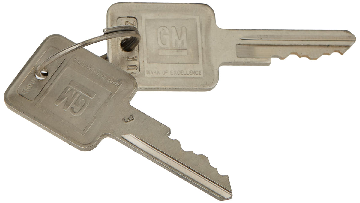 ACDelco D1499A GM Original Equipment Ignition Lock Cylinder without Key