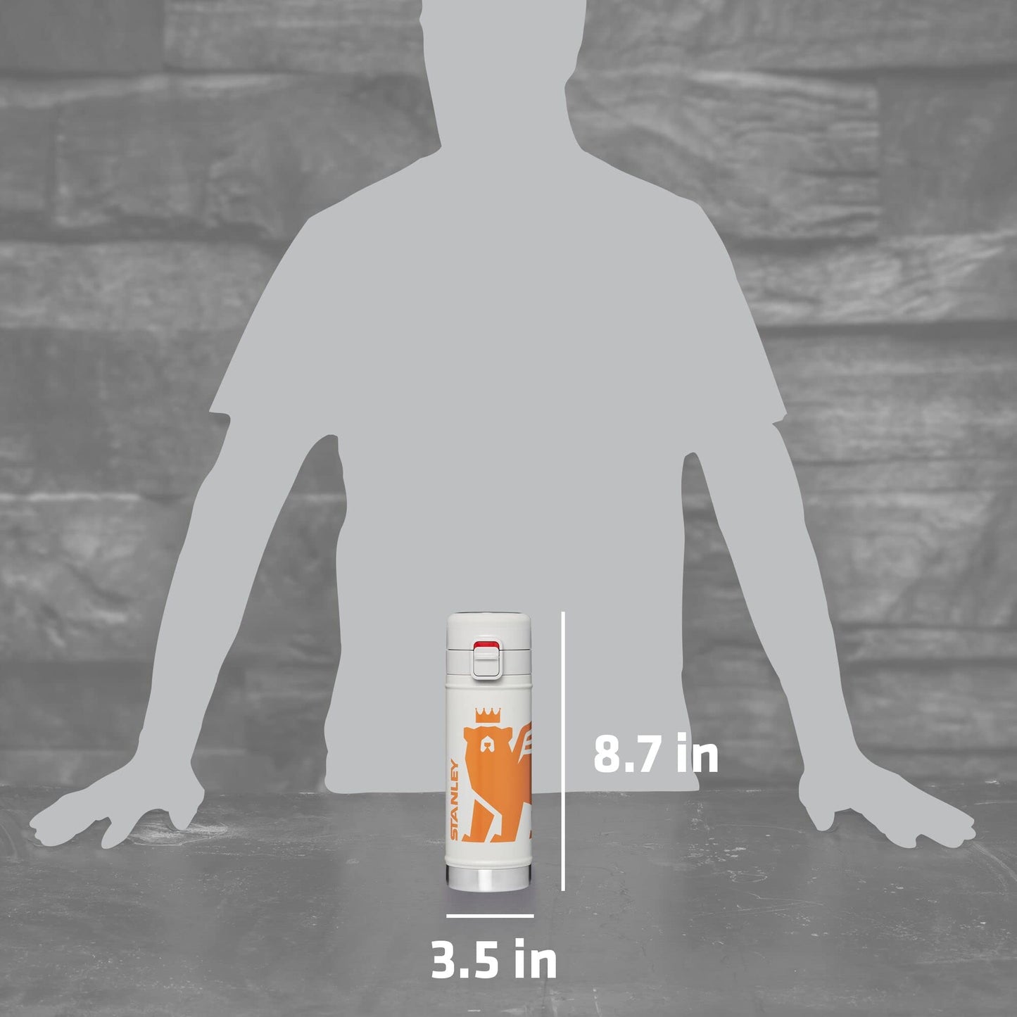 Stanley FlowSteady Bear Cub Bottle, 17oz, Stainless Steel Insulated Water Bottle for Kids (8 and Above) with 3 Interchangeable Metal Badges, Ash