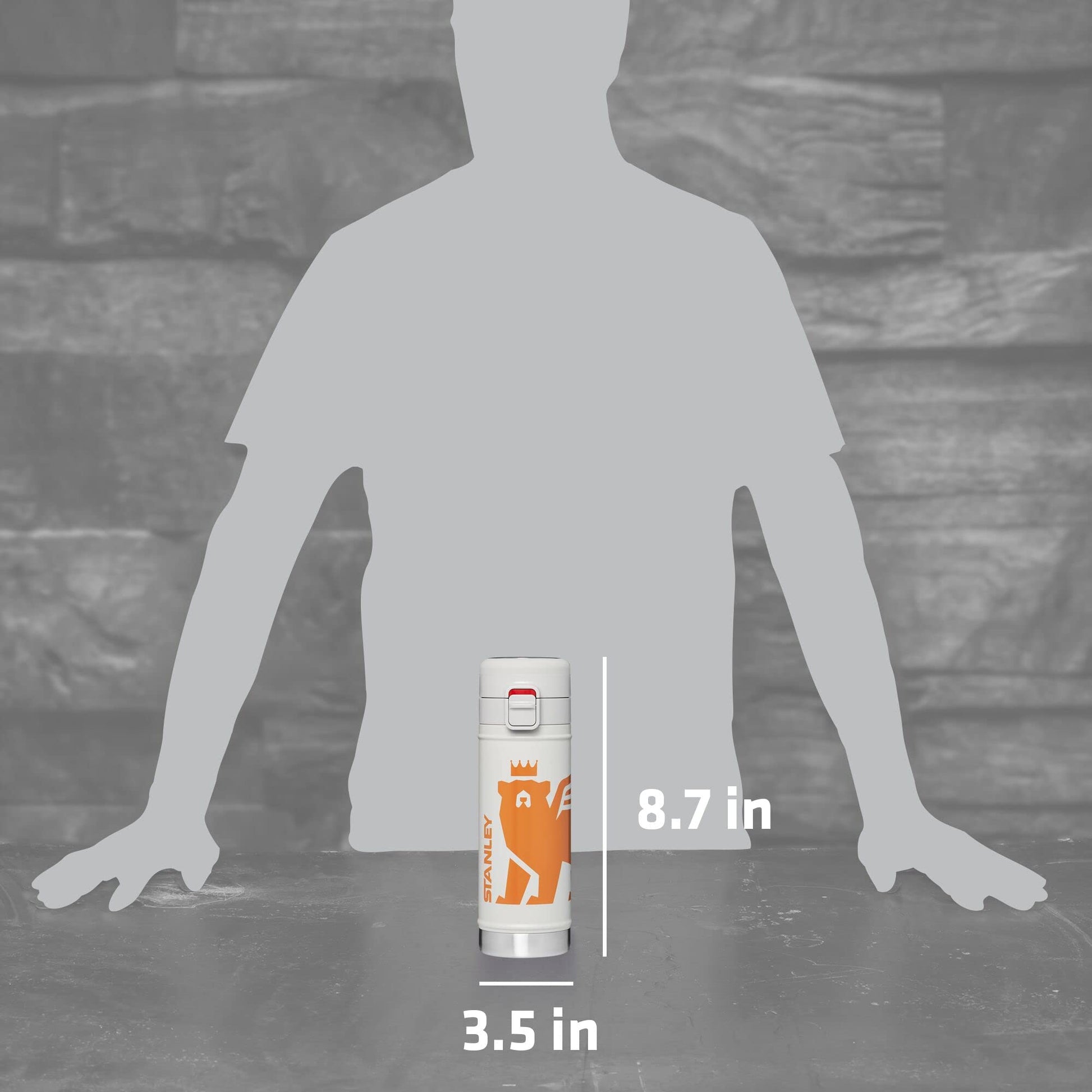 Stanley FlowSteady Bear Cub Bottle, 17oz, Stainless Steel Insulated Water Bottle for Kids (8 and Above) with 3 Interchangeable Metal Badges, Ash
