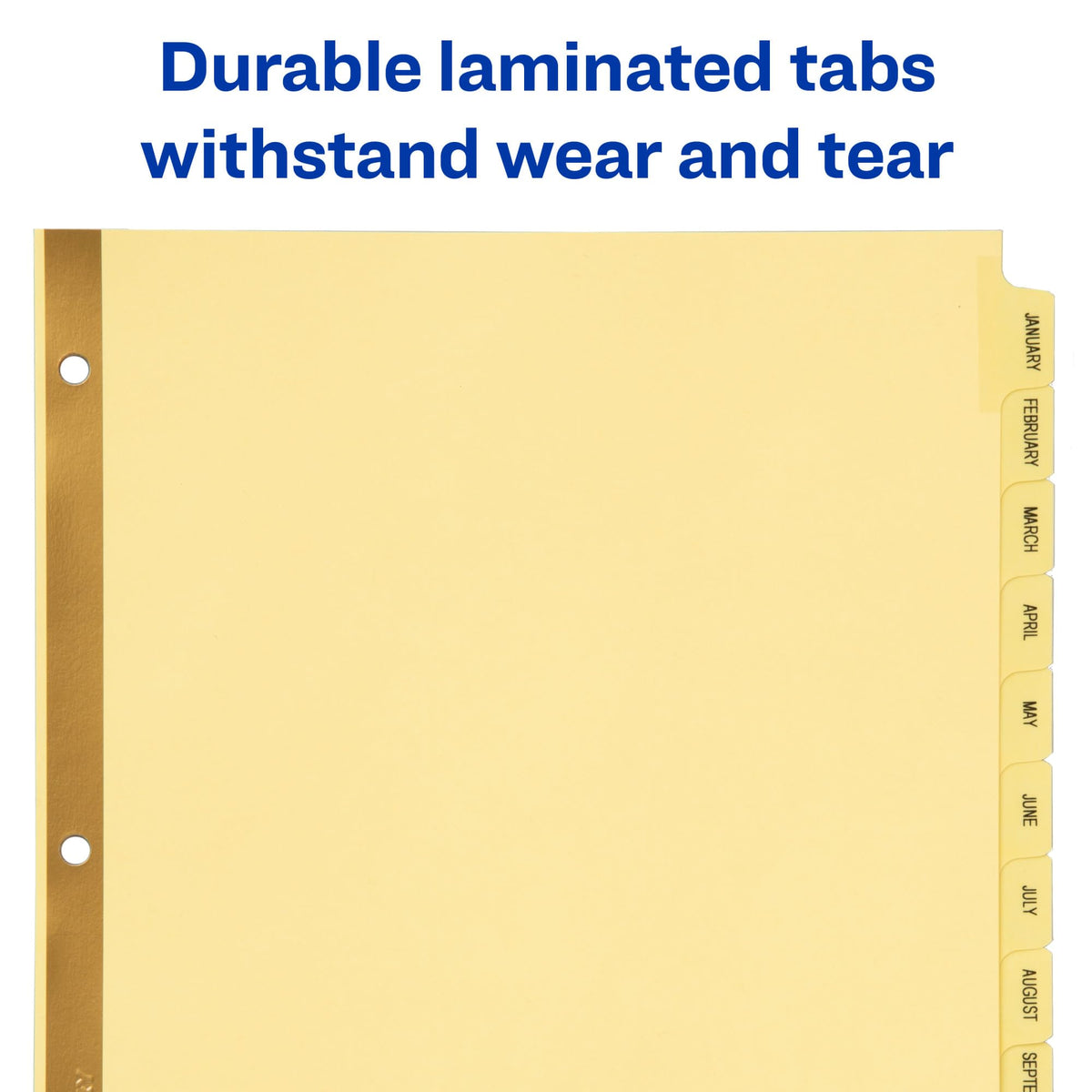 Avery Preprinted Dividers with JAN-DEC Tabs, 1 Set (11307)