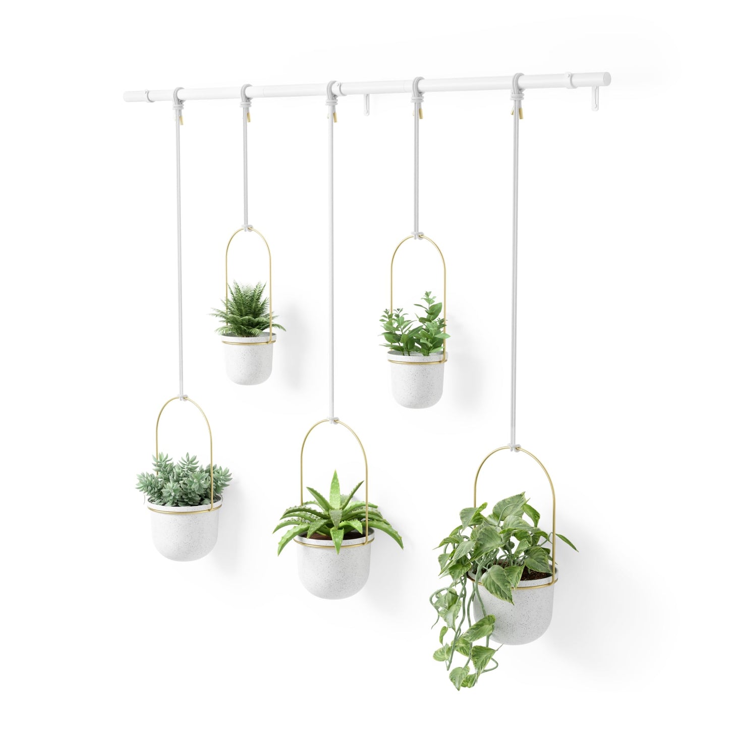 Umbra Triflora Hanging Planter for Window, Indoor Herb Garden, Set of 5, White/Brass