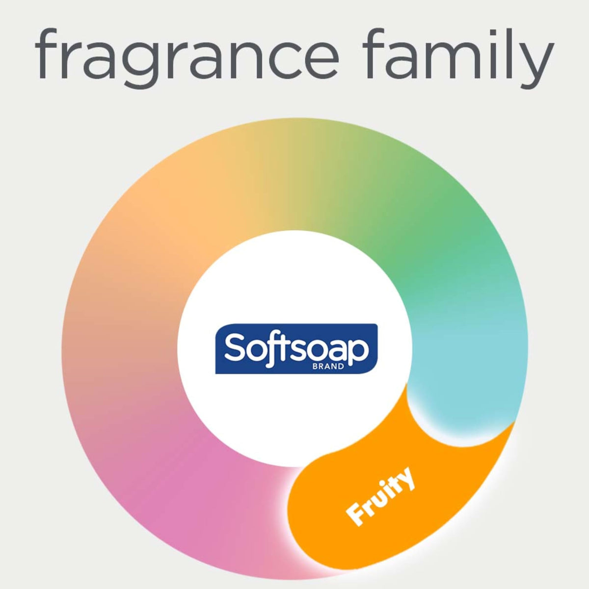 Softsoap Cool Rain Liquid Hand Soap, Dewy Melon Scent, 11.25 oz Bottle, 6 Pack