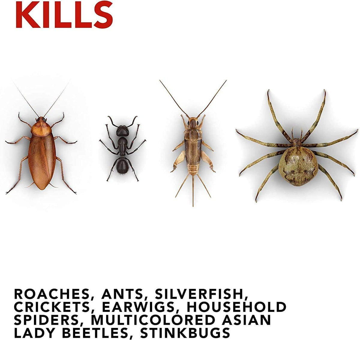 Raid Ant & Roach Killer Lemon Scent 1.09 Pound (Pack of 5)