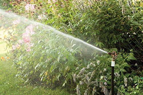 Rain Bird 25PJDAC Brass Impact Sprinkler, Adjustable 20Â° - 360Â° Pattern, 20' - 41' Spray Distance