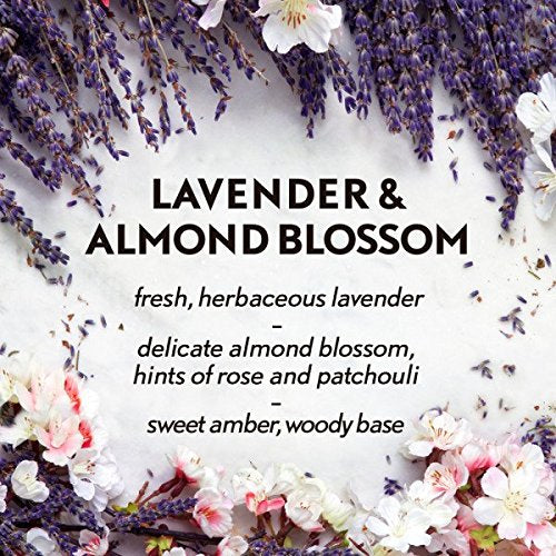 Air Wick Essential Mist Diffuser Mist Kit, Lavender & Almond Blossom 1 ea (Pack of 4)