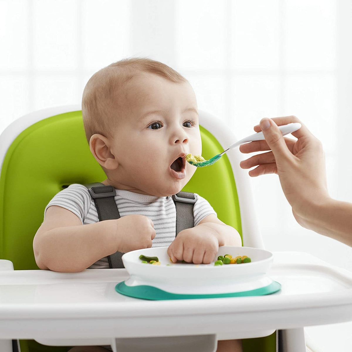 OXO Tot Stick & Stay Suction Plate, Teal