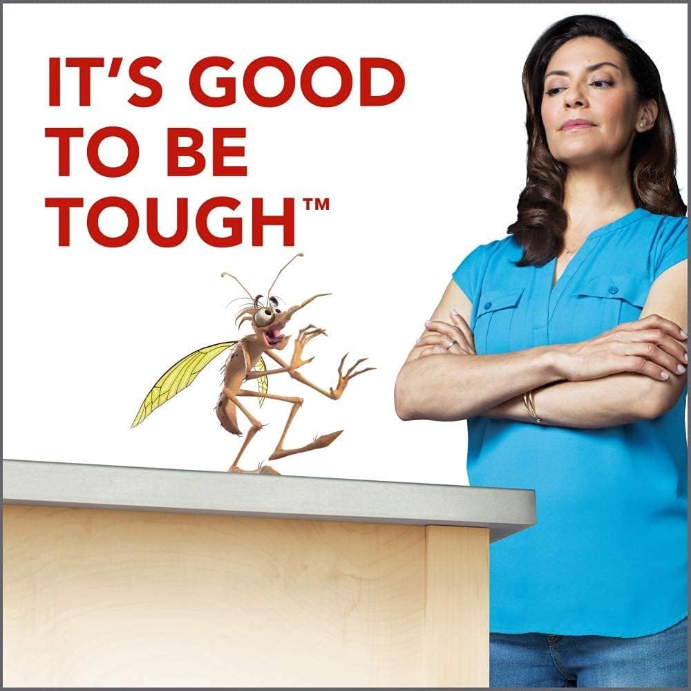 Raid Flying Insect Killer, 15 OZ (Pack - 10)