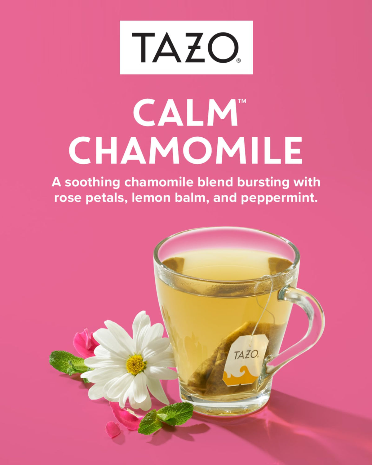 TAZO Tea Bags Sampler, 48 Count Variety Gift Box, 6 Different Flavors, 8 of each