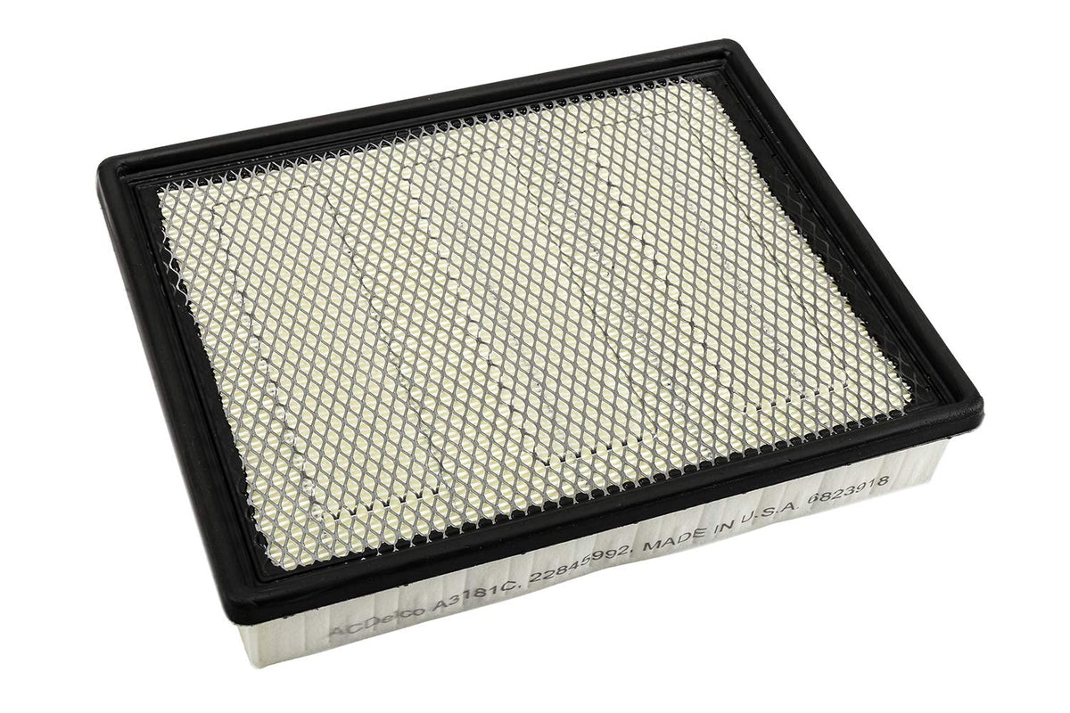 ACDelco GM Original Equipment A3181C (22845992) Air Filter