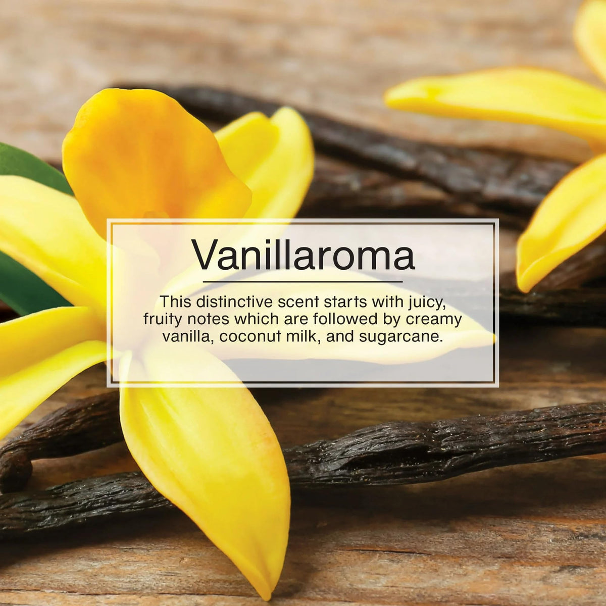 Little Trees Spray Car Air Freshener (Vanillaroma)