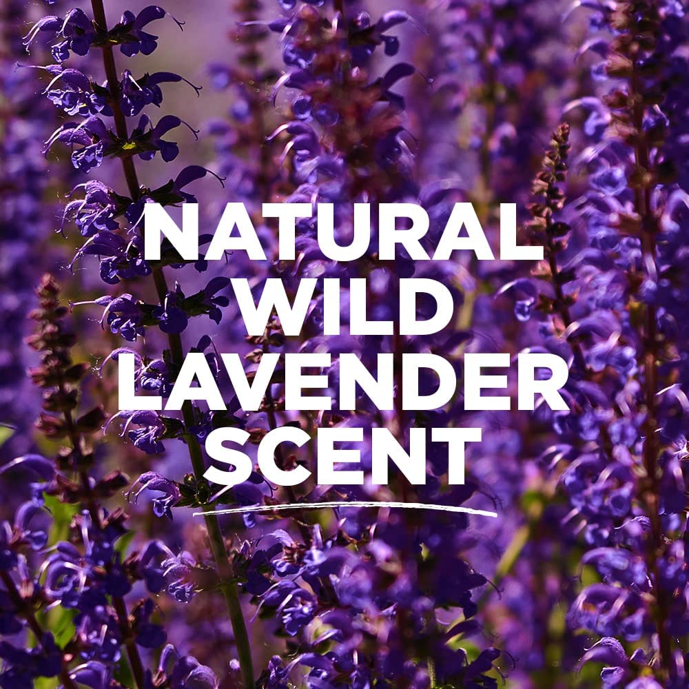 Tom's of Maine Natural Long-Lasting Deodorant Stick Lavender 2.25 Oz (Pack of 2)