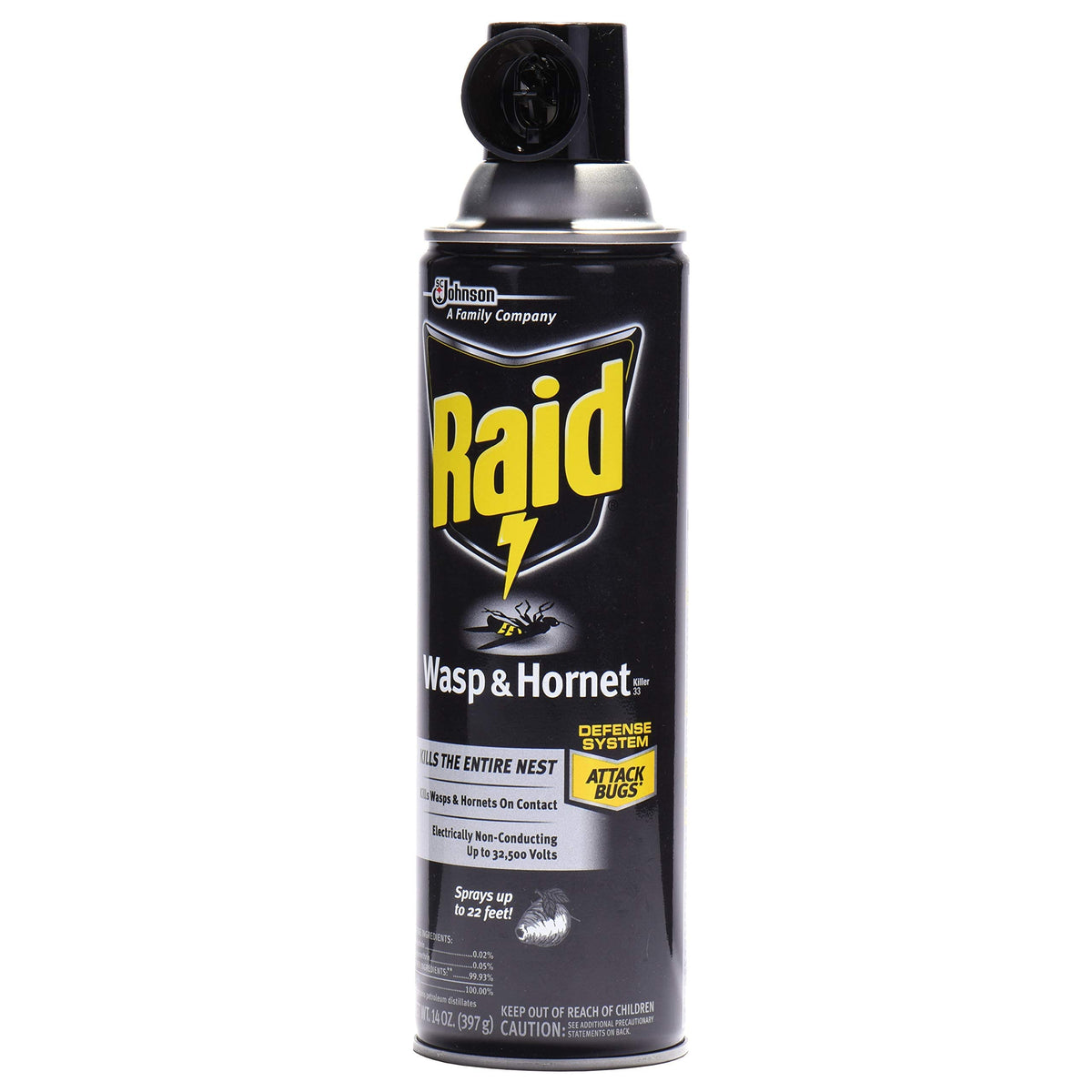 Raid Wasp Hornet Killer Spray Variation (14 Ounce (Pack of 4))