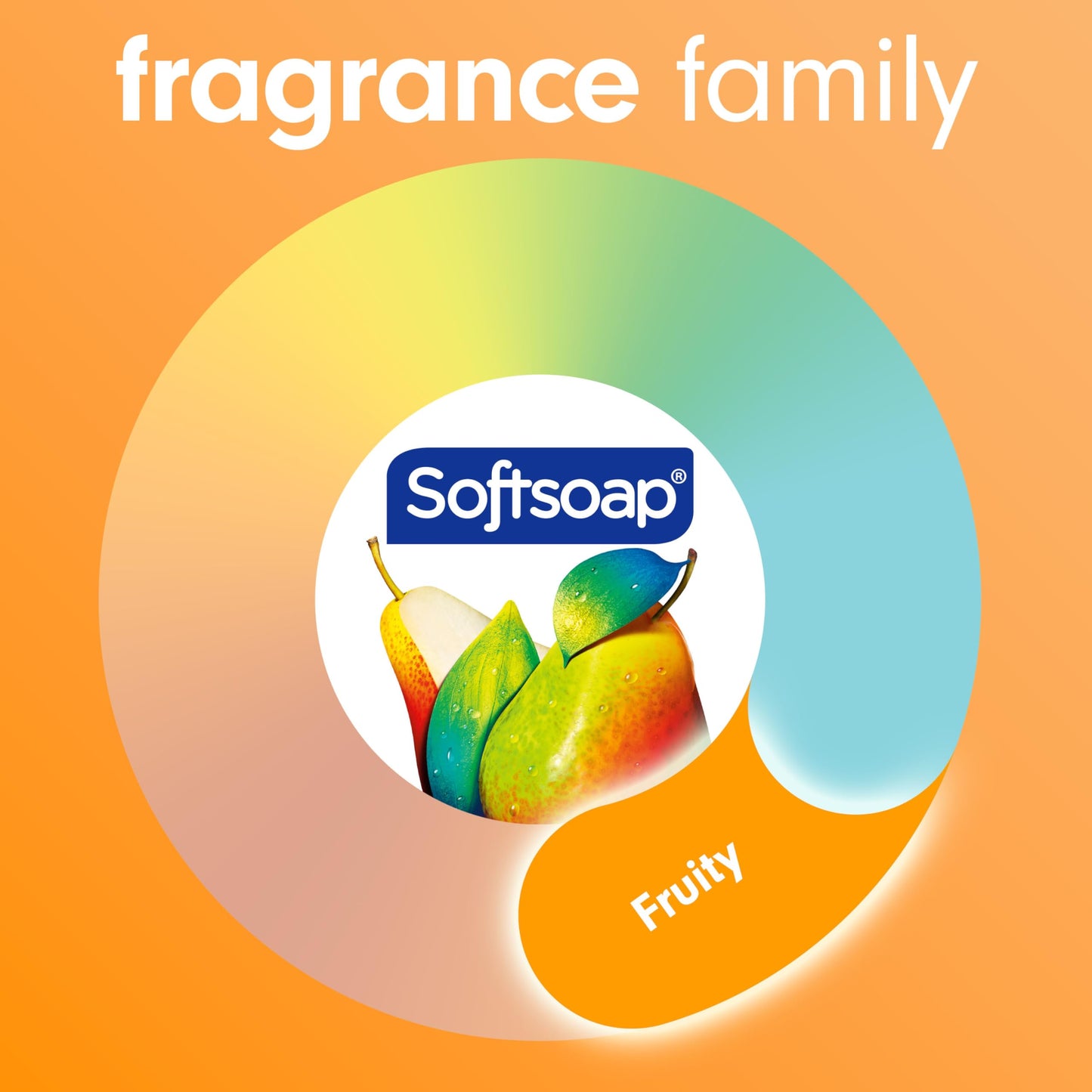 Softsoap Antibacterial Hand Soap Liquid Refill, Crisp Clean, 50oz, Bathroom Soap, Bulk Soap, Moisturizing, Pack of 6 (US05261A)