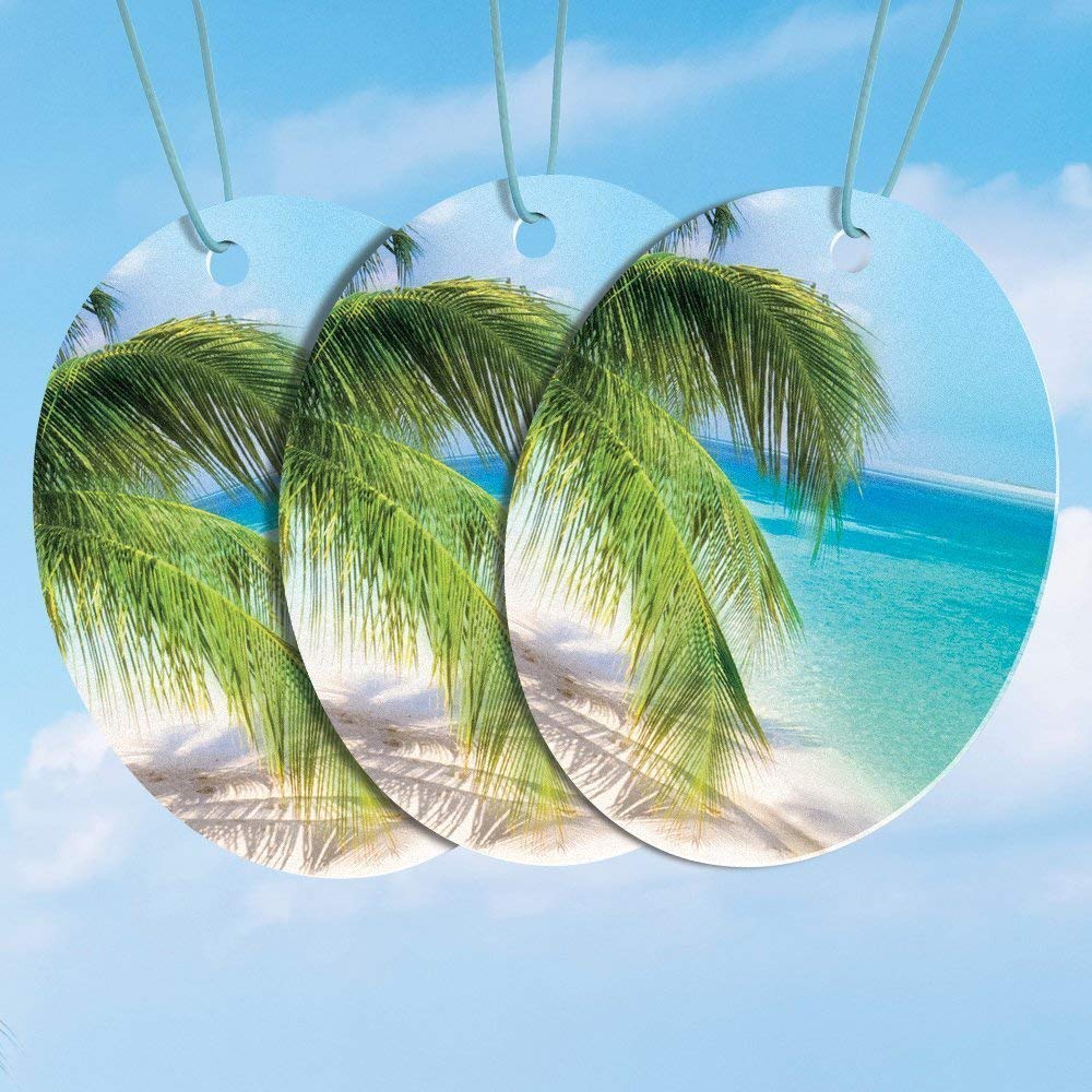 Armor All FRESHfx Car Air Freshener Hanging Card, 12-Count (4 Packs, Island Oasis)