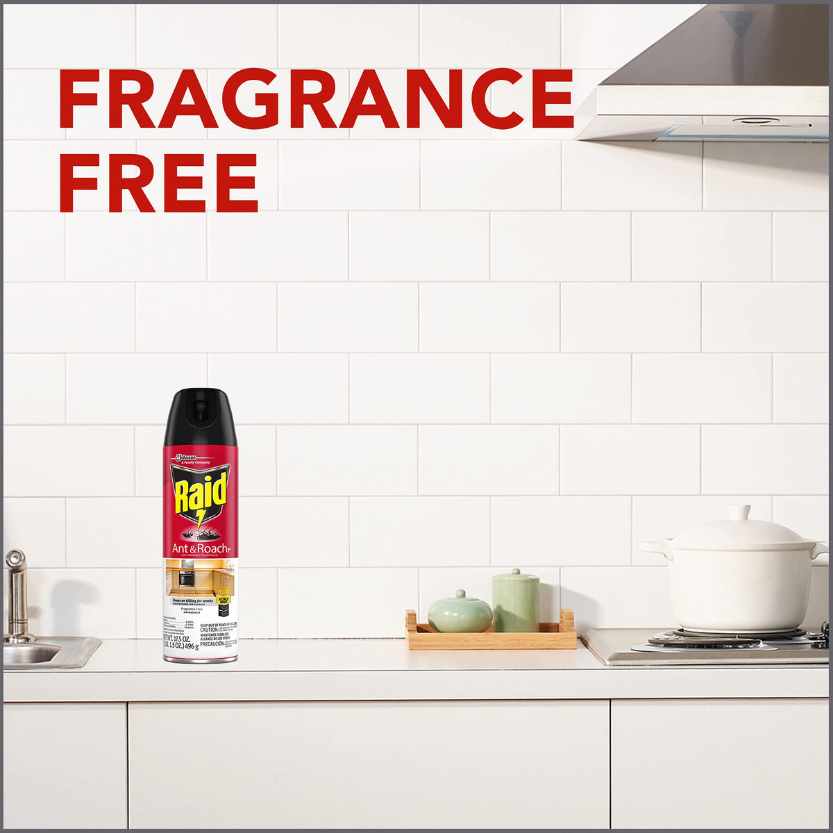 Raid Ant & Roach Spray Outdoor Fresh 17.50 oz (Pack of 6)