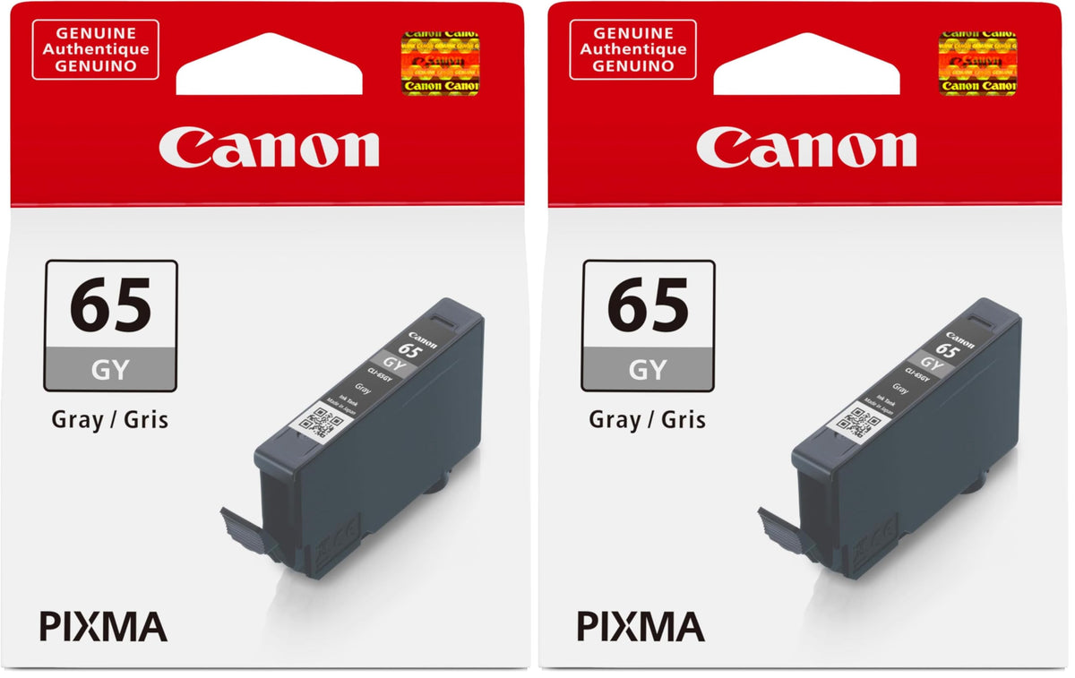 Canon CLI-65 GY AMR (Pack of 2)