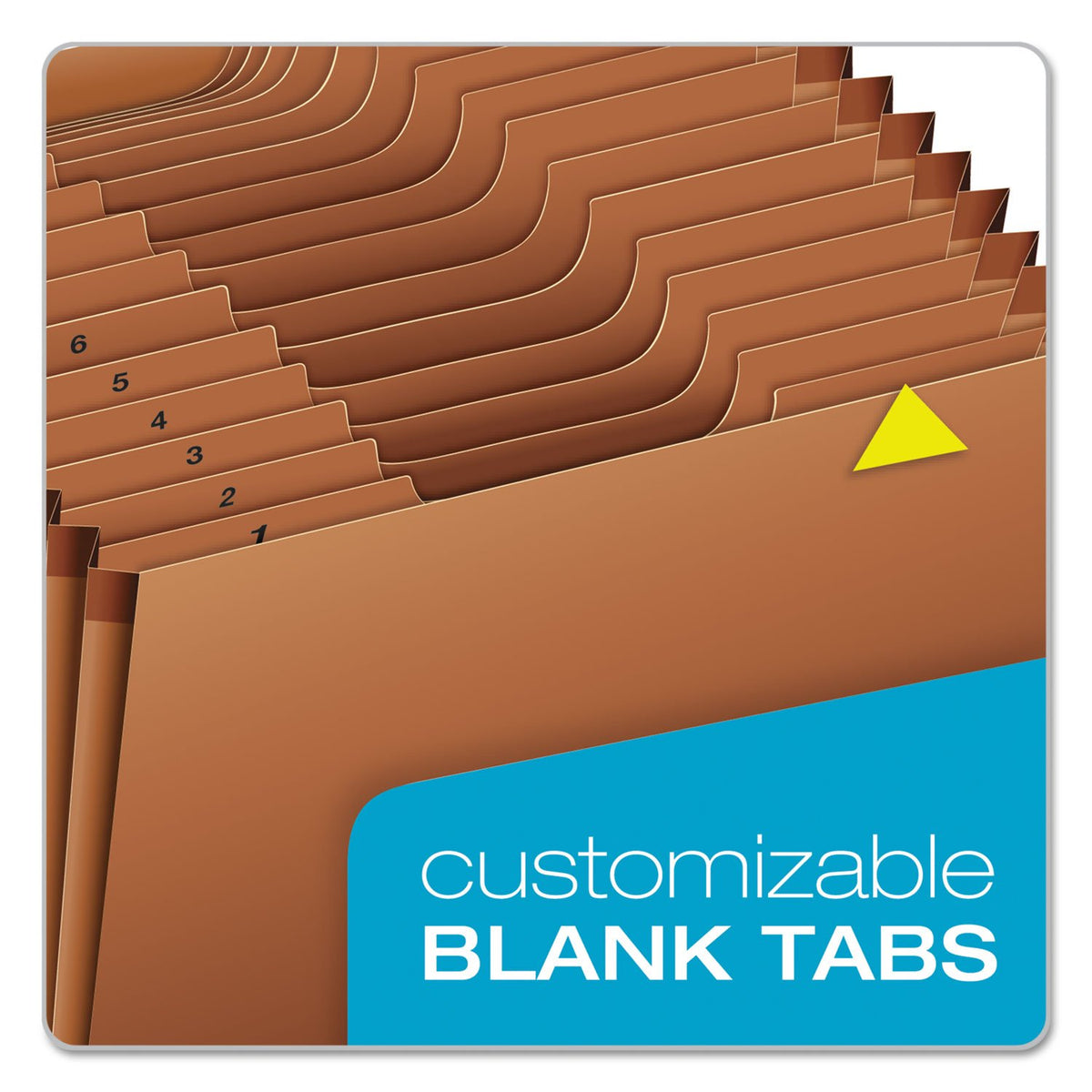 Globe Weis Pendaflex Conversion File Jackets and Pockets, (PFXR119ALHD)