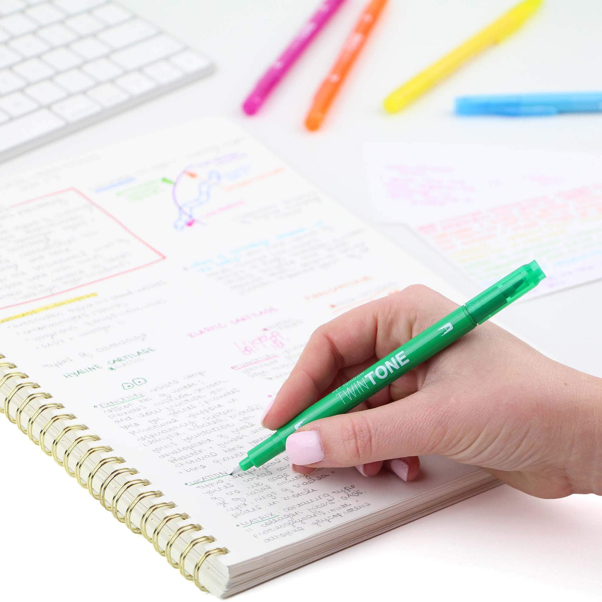 Tombow 61526 TwinTone Marker Set, Rainbow, 12-Pack. Double-Sided Markers Perfect for Planners, Journals, Doodling, and More!