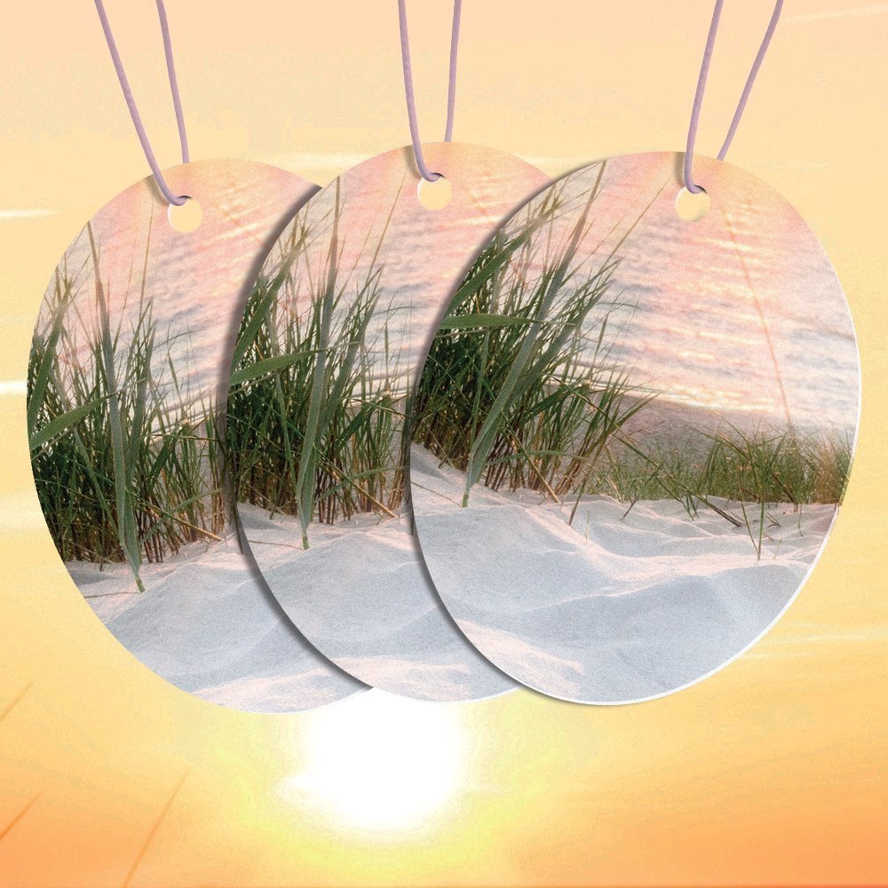 Armor All FRESHfx Car Air Freshener Hanging Card, 3-Count (Coastal Dunes)