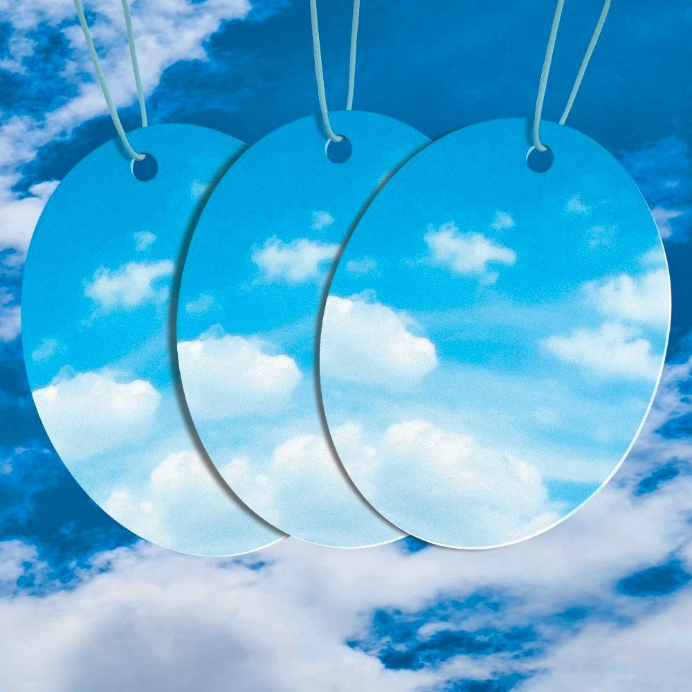 Armor All FRESHfx Car Air Freshener Hanging Card, 12-Count (4 Packs, Tranquil Skies)