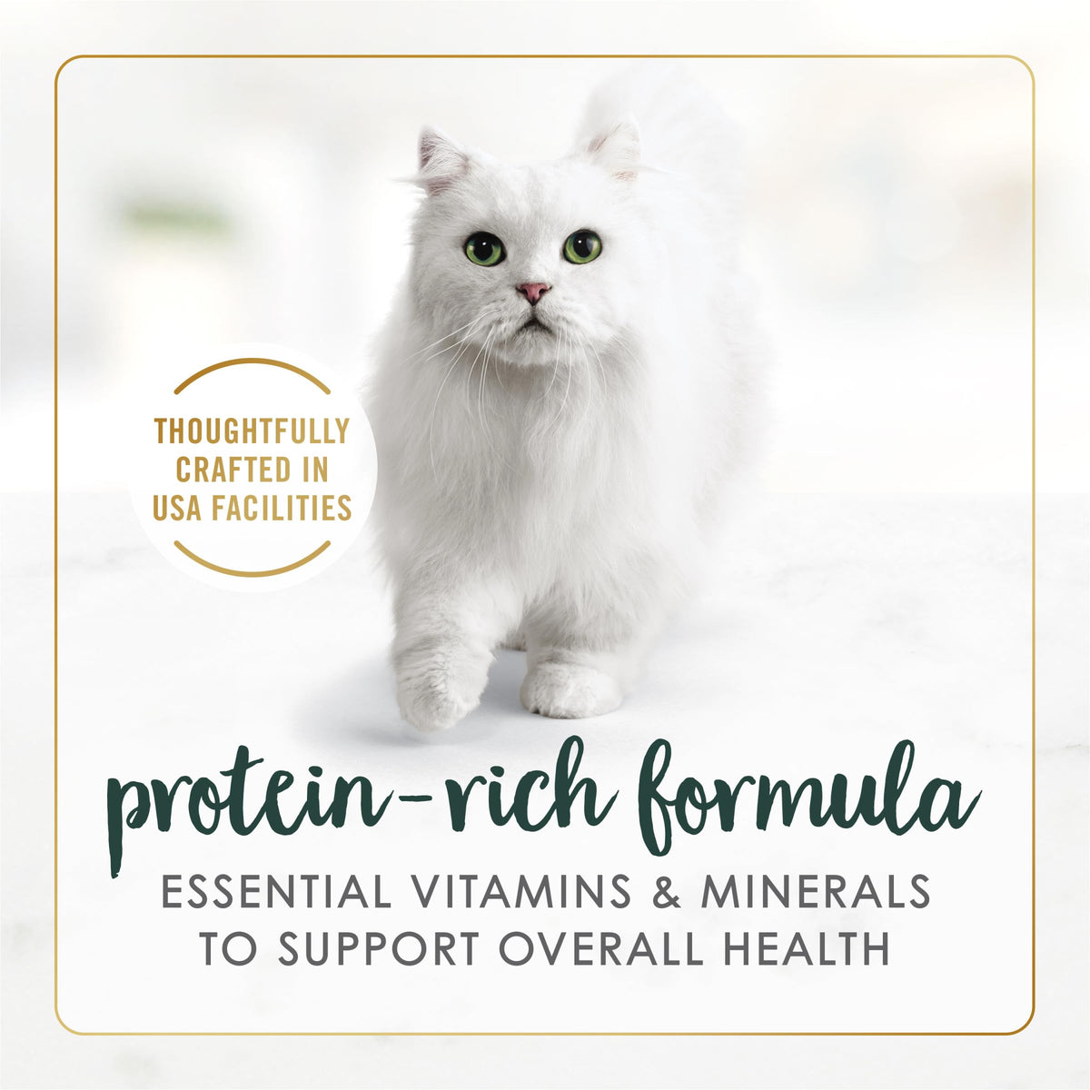 Purina Fancy Feast Senior Wet Cat Food 7 Years Plus Chicken Feast in Gravy Minced - (Pack of 24) 3 oz. Cans