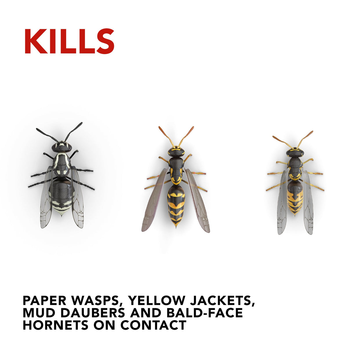 Raid Wasp and Hornet Killer Variation (17.5 Ounce (Pack of 6))