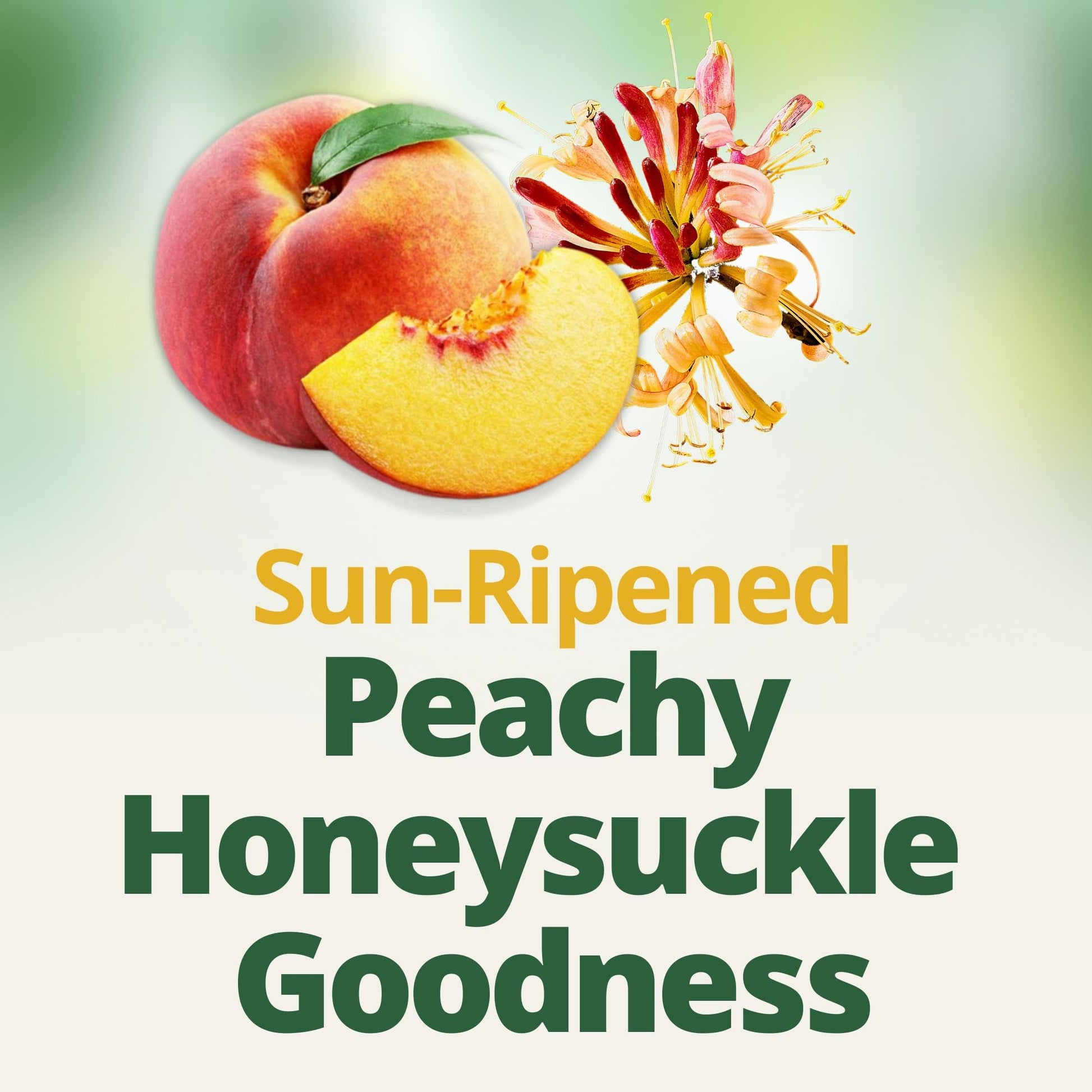 Del Monte Fruit Refreshers Peaches in Honeysuckle Flavored Fruit Water, 7 Ounce - 2 Count (Pack of 6)
