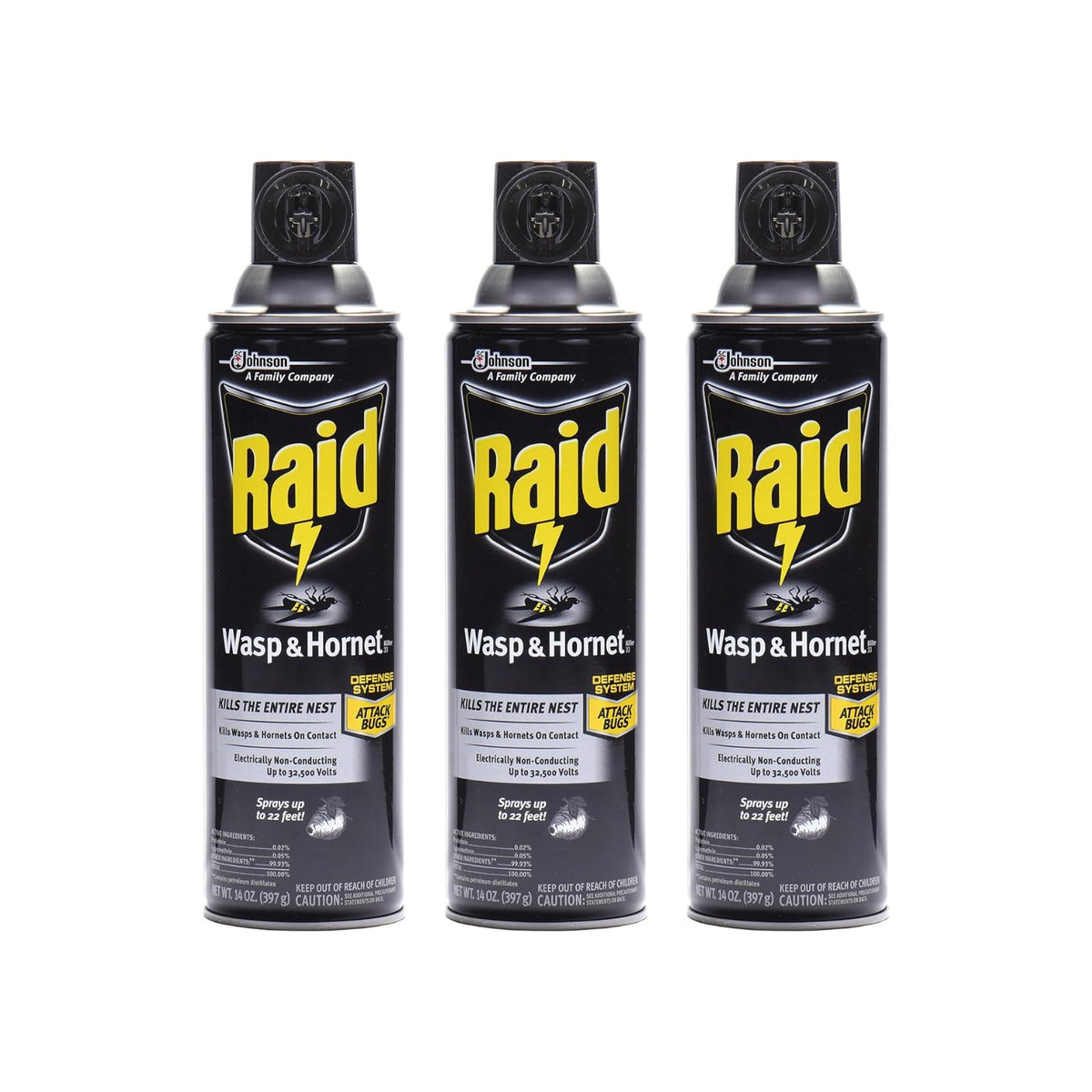 Raid Wasp & Hornet Killer Spray, 14 OZ (Pack - 3)