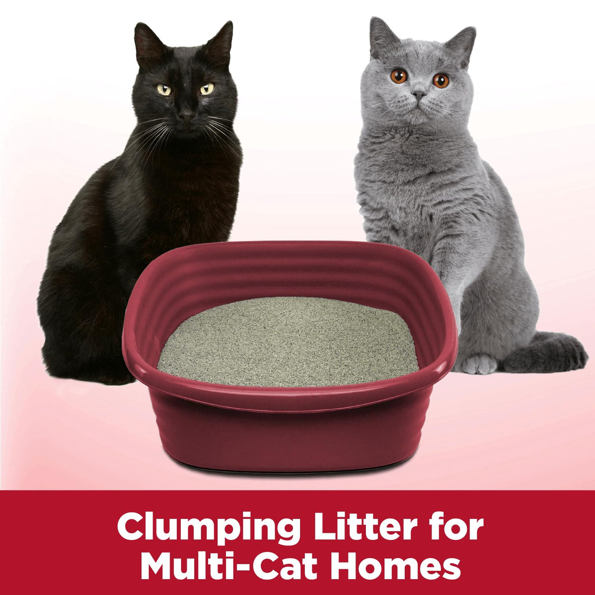 Arm & Hammer Clump & Seal Litter, MultiCat 19lb Box