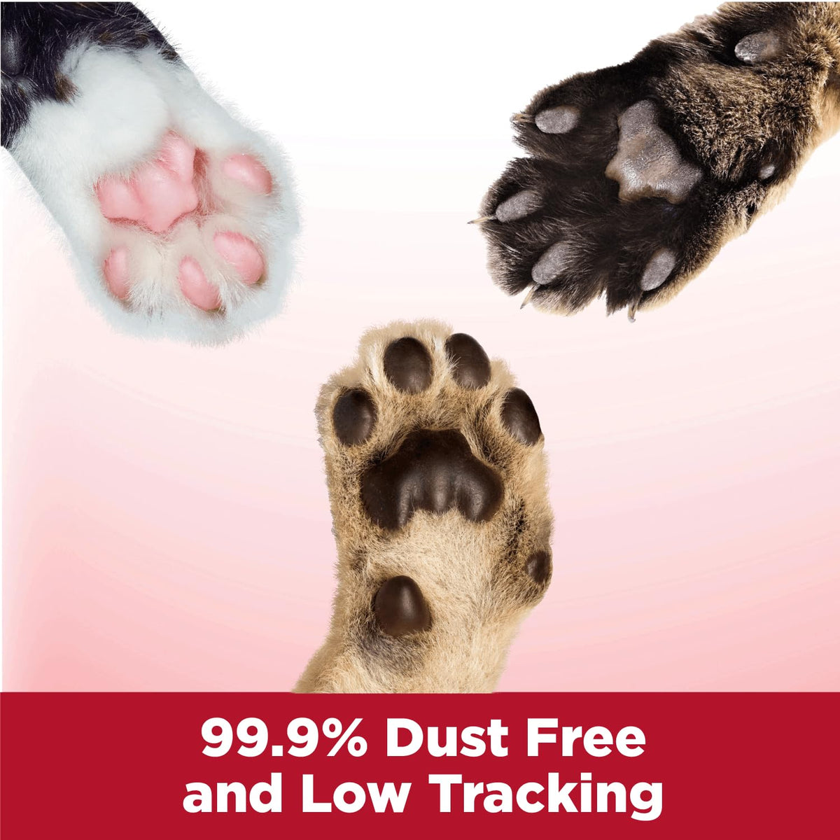 Arm & Hammer Clump & Seal Litter, MultiCat 19lb Box