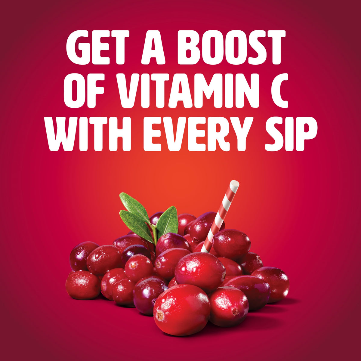 Tropicana Cranberry Juice Drink, 15.2 Ounce Bottle (Pack of 12)