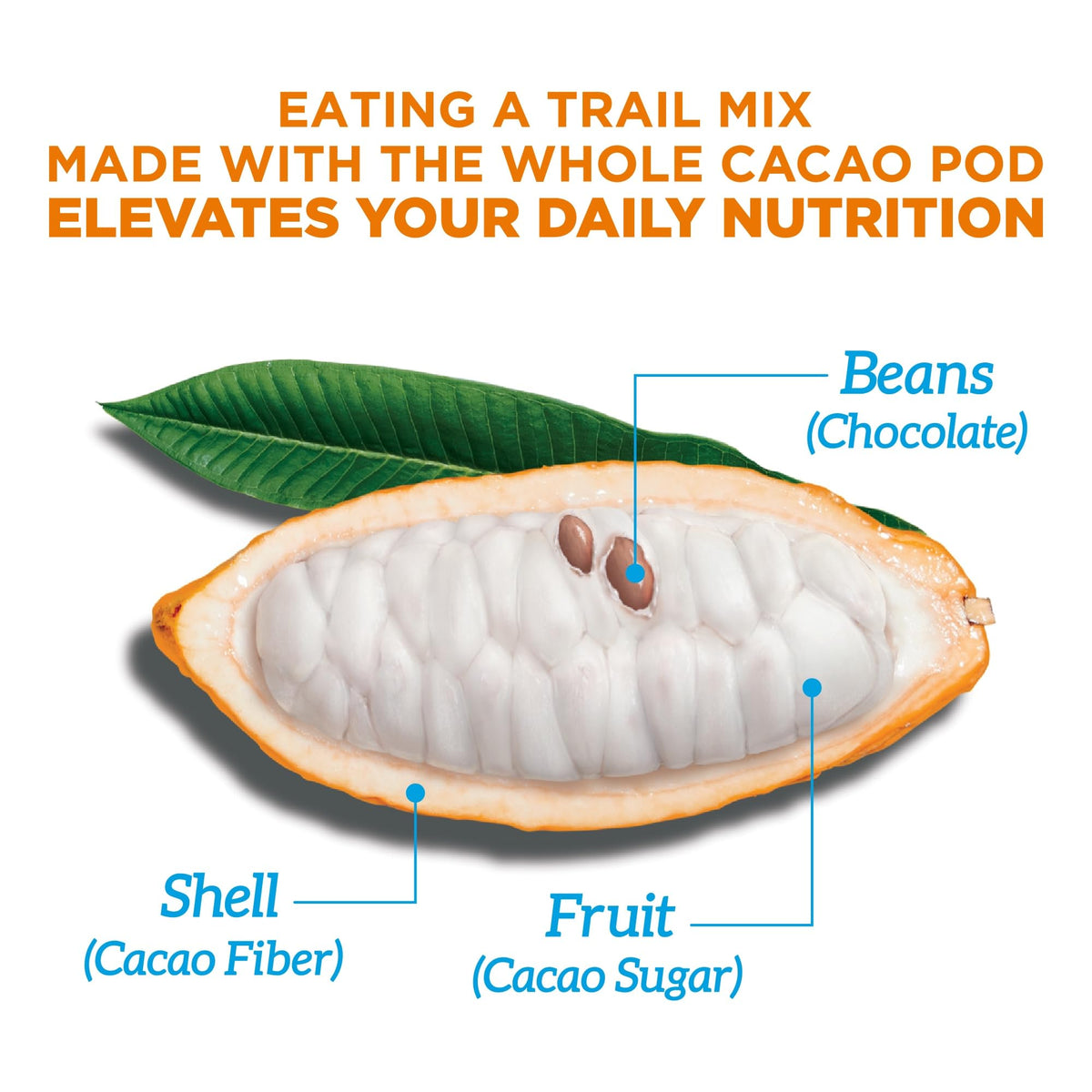 Blue Stripes Mango Macadamia Trail Mix, 8 OZ