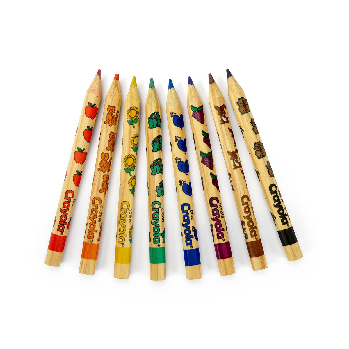 Crayola Write Start Colored Pencils