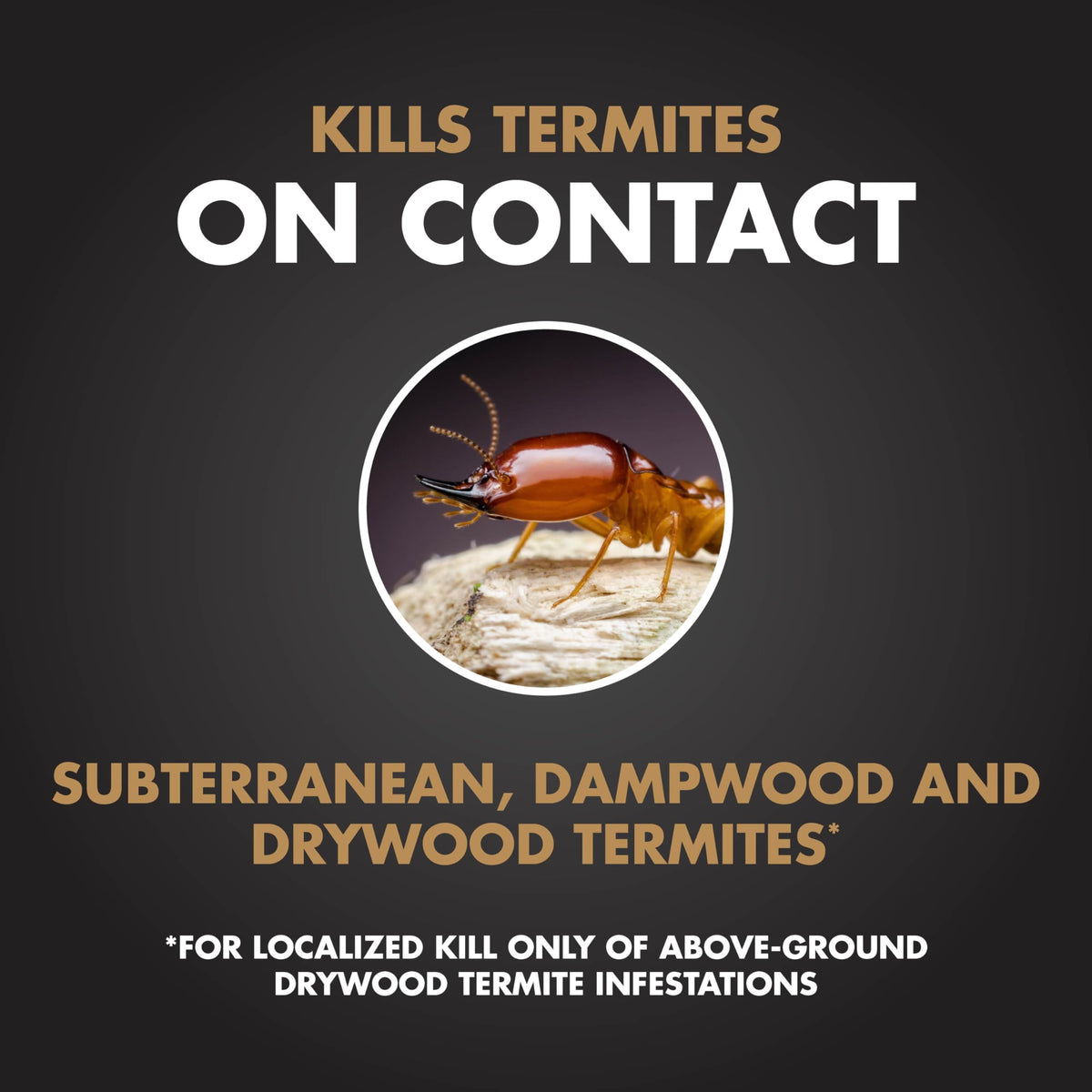 Spectracide Termite Killer, 16 oz - 12 count