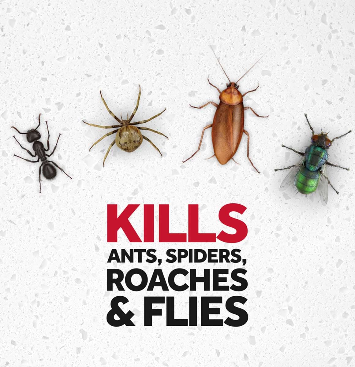 Raid Multi Insect Killer 15 Ounce (Pack of 6)