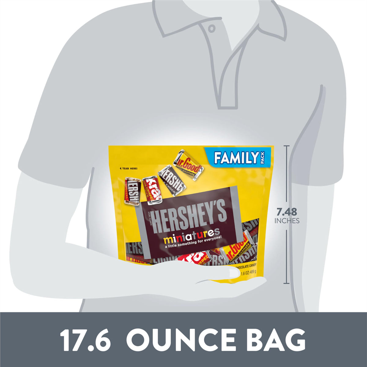 HERSHEY'S Miniatures Assorted Chocolate Candy Family Pack, 17.6 oz