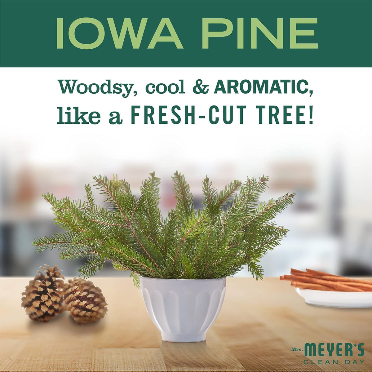 Mrs. MEYER'S CLEAN DAY Hand Soap Variety (Iowa Pine + Peppermint)
