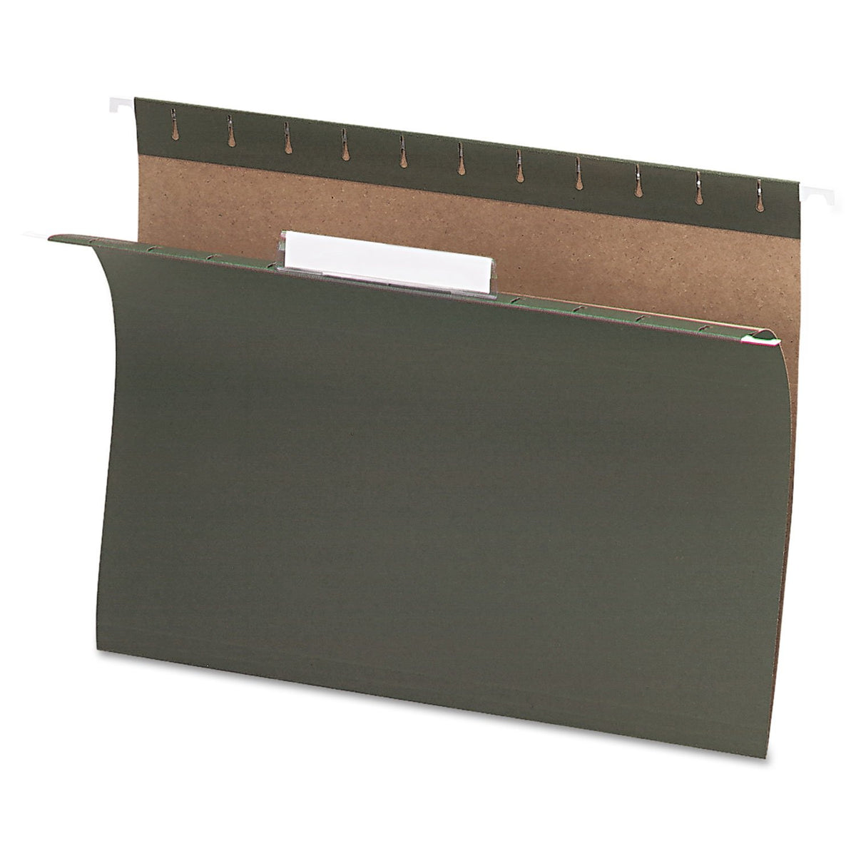 Pendaflex Recycled Hanging Folders, Letter Size, Standard Green, 1/3 Cut, 25/BX (81601)