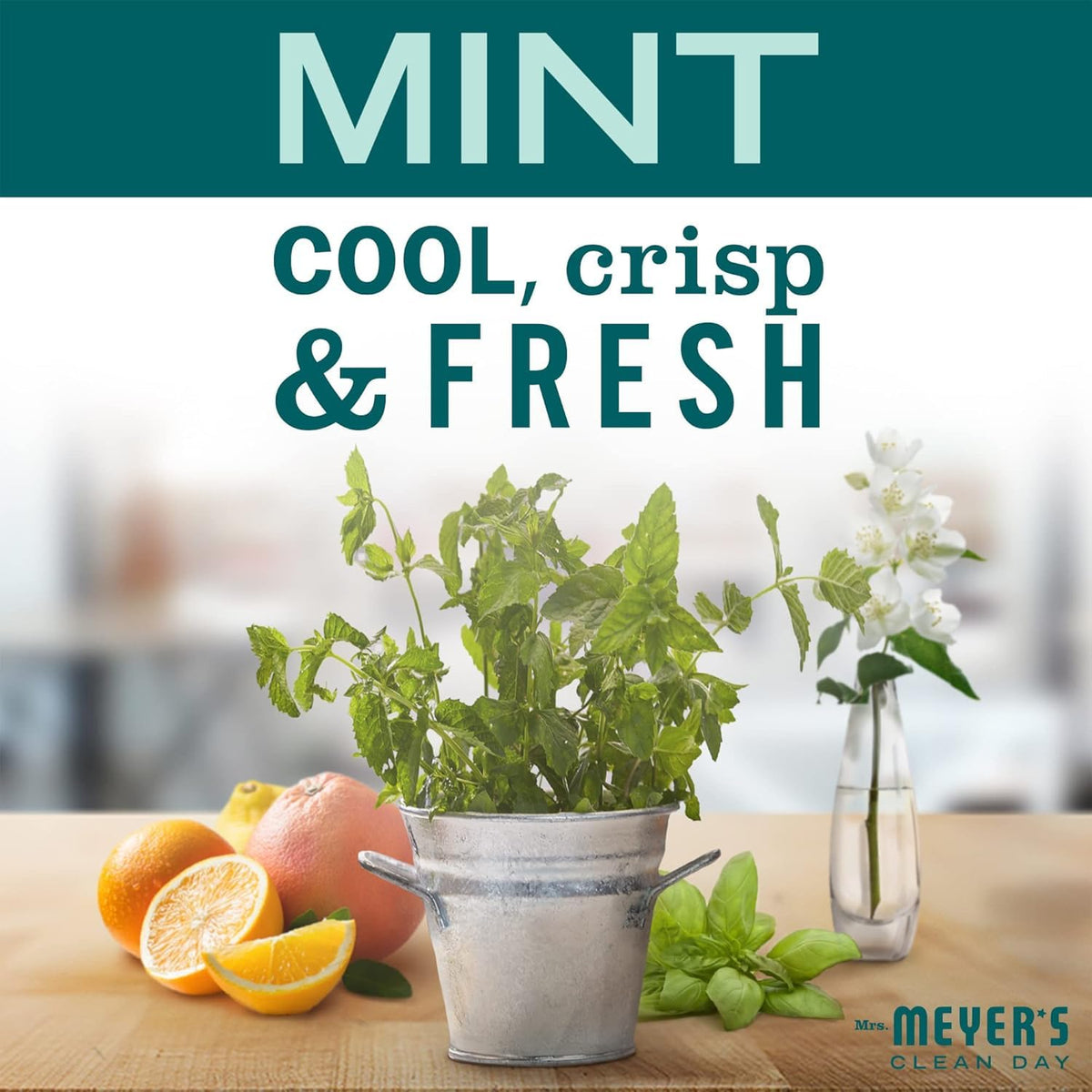 MRS. MEYER'S CLEAN DAY All-Purpose Cleaner Spray, Mint, 16 Fl. Oz