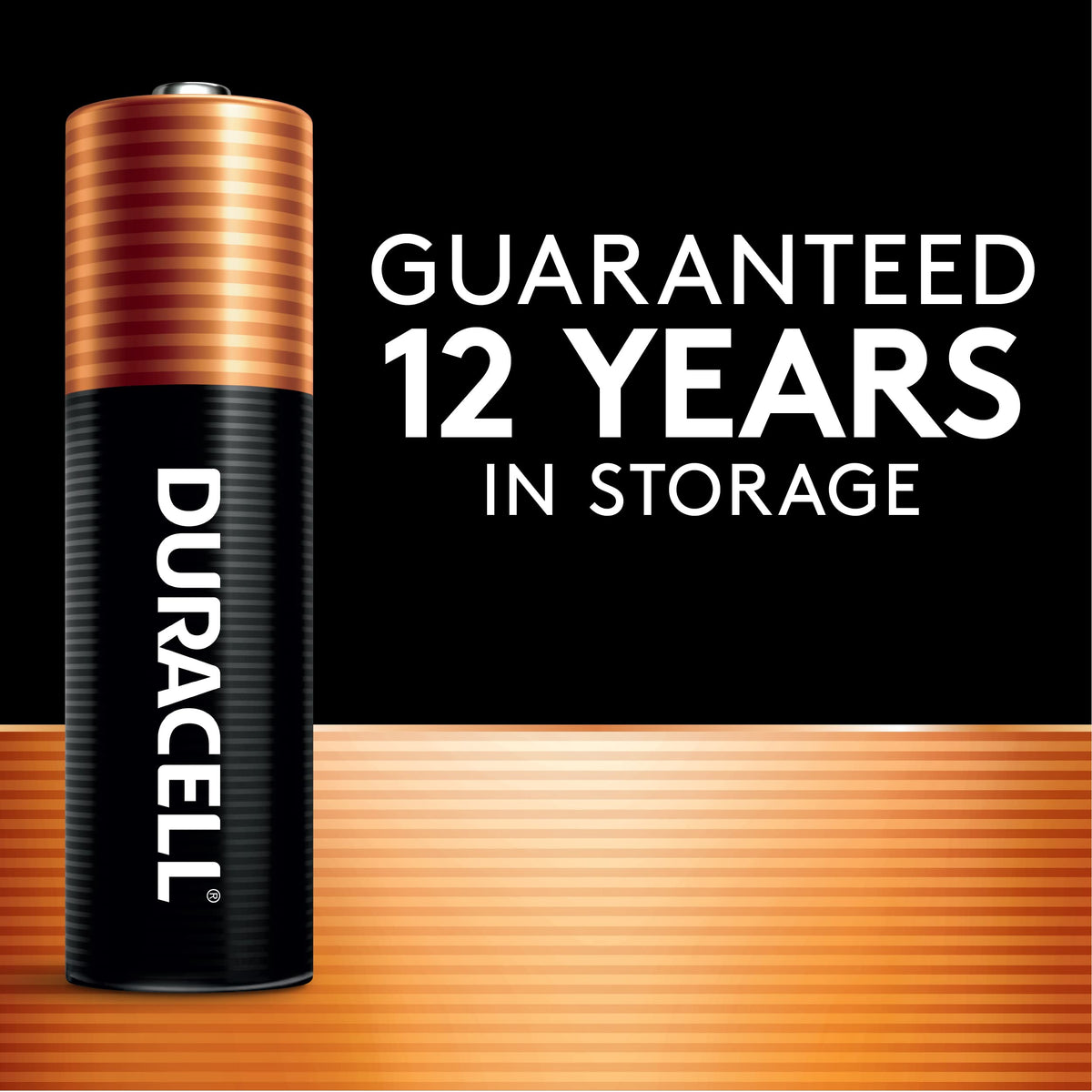 Duracell Coppertop 9V Battery, 1 Count (Pack of 1), Long-lasting All-Purpose Alkaline 9V Batteries for Household and Office Devices